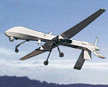 Predator Drone